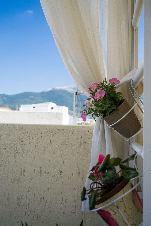 Inspiration Guestroom With Amazing Roof Garden Atena Exterior foto